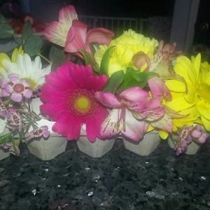 Meet your Posher, Leone